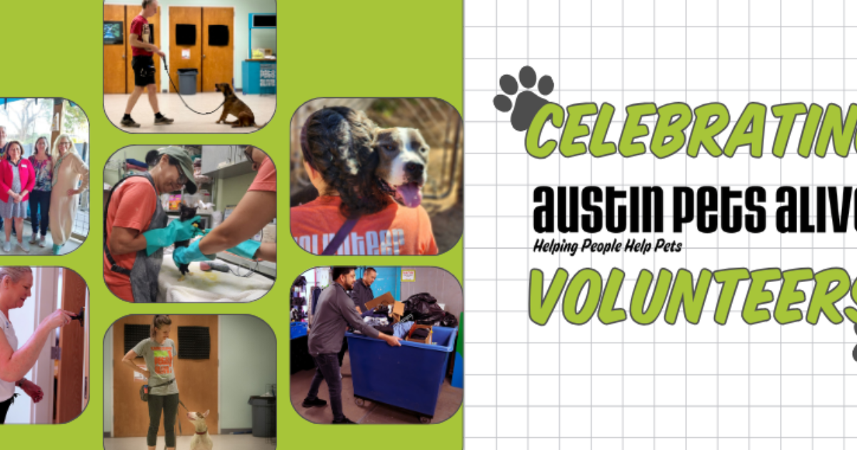 Austin Pets Alive! | A Celebration of Giving: The Enduring Power of…