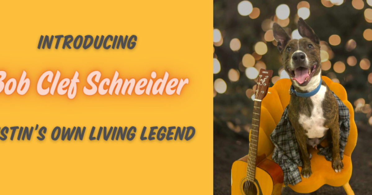 Austin Pets Alive! | Join us in the rebrand for Bob “Clef” Schneider!