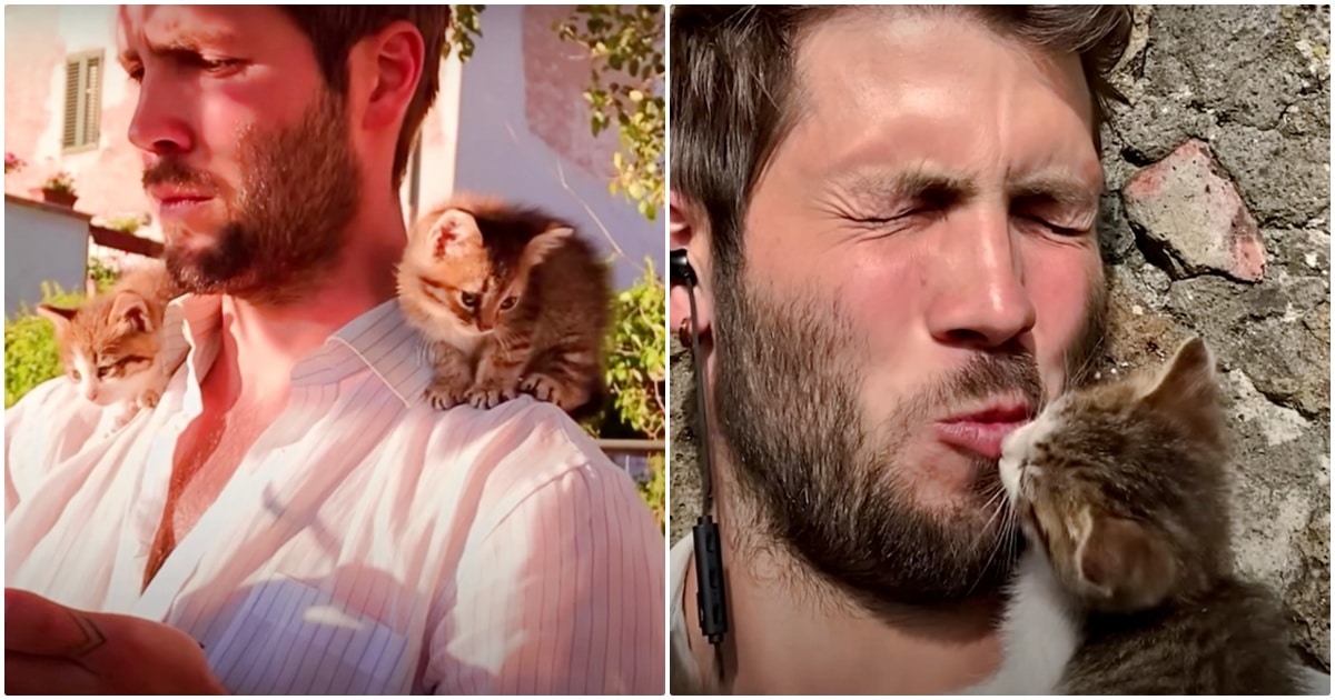 Guy Rescued Two Kittens Who Are Now ‘Velcroed’ To His Body At All Times