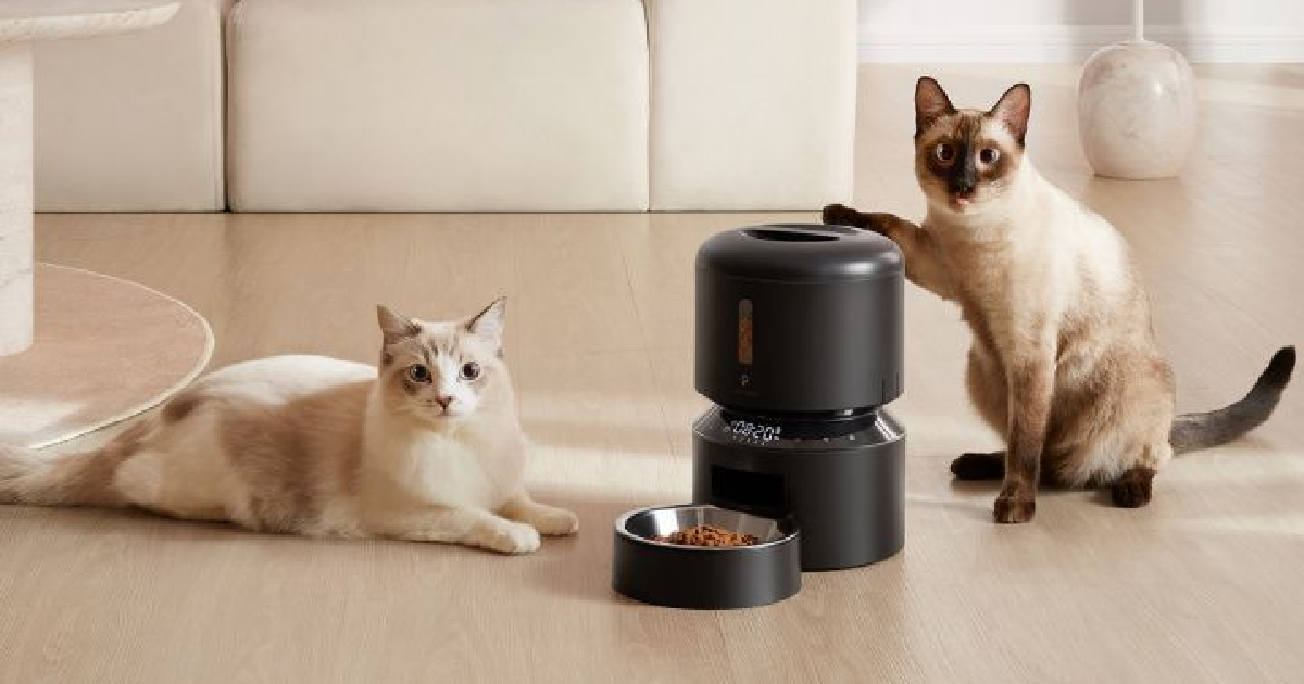 Petlibro Automatic Feeders & Water Fountains Provide A Modern Approach to Cat Care