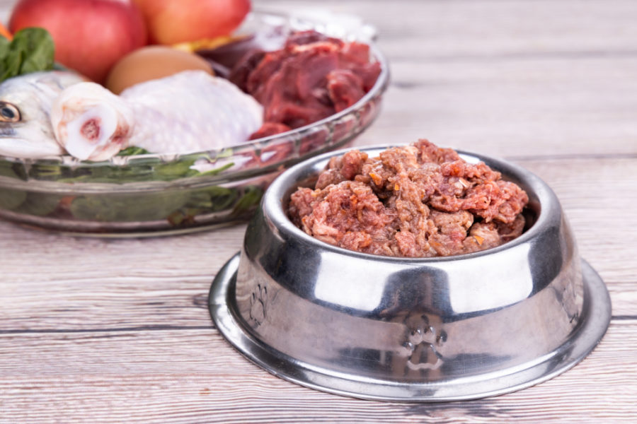 Want to learn how to switch to raw food for your dog or cat?