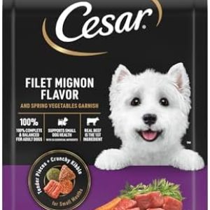 CESAR Adult Small Breed Dry Dog Food, Filet Mignon Flavor with Spring Vegetables Garnish, 5 lb. Bag