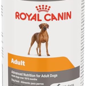 Royal Canin Canine Health Nutrition Adult In Gel Canned Dog Food, 13.5 oz can(Pack of 12)