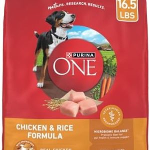 Purina ONE Chicken and Rice Formula Dry Dog Food – 16.5 lb. Bag