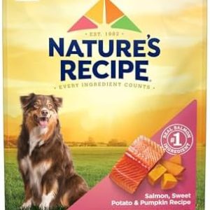 Nature’s Recipe Grain Free Salmon, Sweet Potato & Pumpkin Recipe Dry Dog Food, 24 lb. Bag