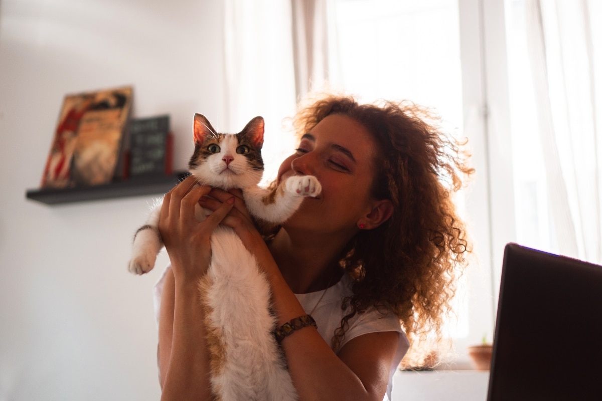 7 Reasons Your Cat Is Always by Your Side