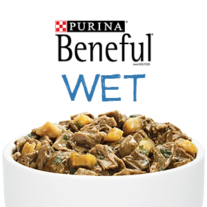 Purina Beneful wet dog food