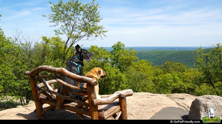 9 Great Pet Friendly Trips To Avoid Crowds