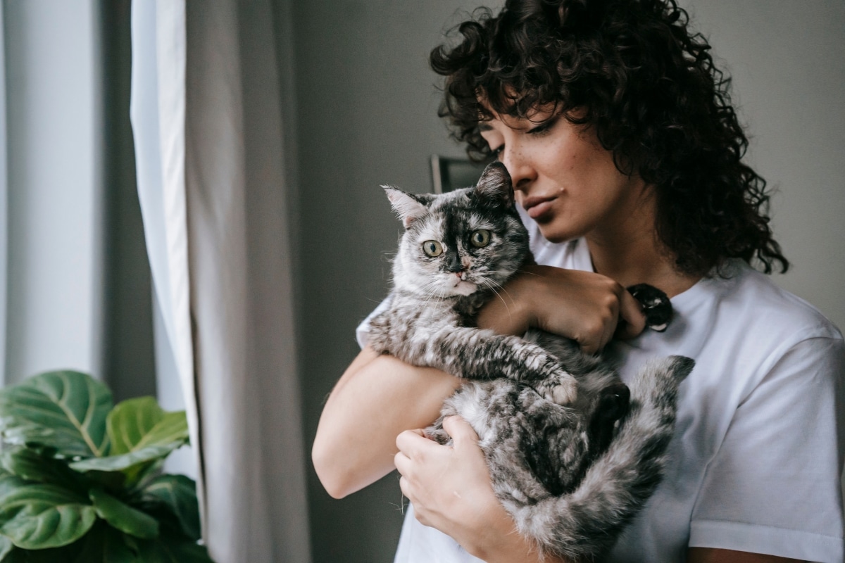 9 Ways Your Cat Reminds You They’re the King or Queen