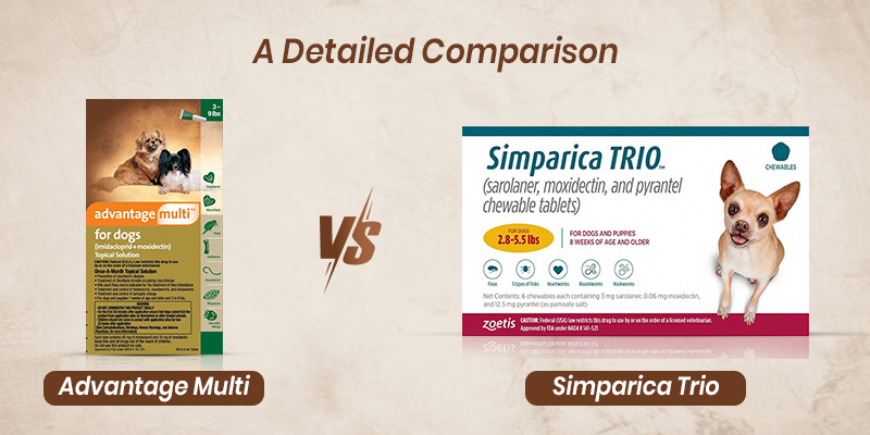 Advantage Multi vs. Simparica Trio: A Detailed Comparison