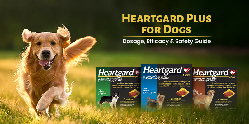 Heartgard Plus for Dogs: Dosage, Efficacy & Safety Guide