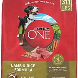 Purina ONE Dry Dog Food Lamb and Rice Formula – 31.1 lb. Bag