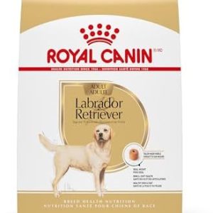 Royal Canin Labrador Retriever Adult Dry Dog Food, 30 lb bag