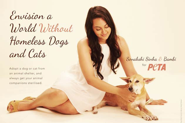 These Miss India 2016 Models have an advice for Pet Lovers| Be Wise & – Petsworld