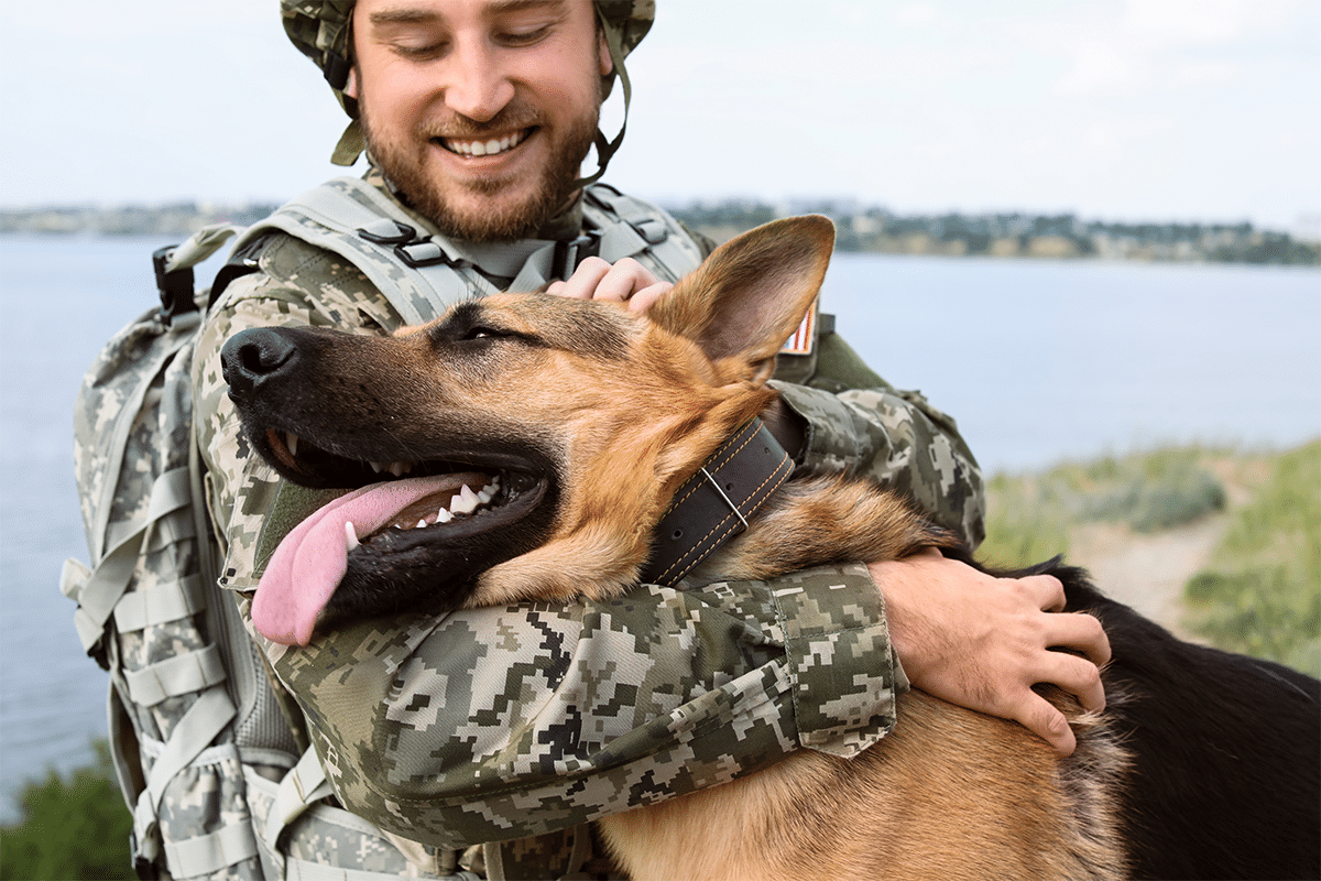 Top 11 Dog Breeds That Were Once Reserved For The Military—But Now Make Great Pets