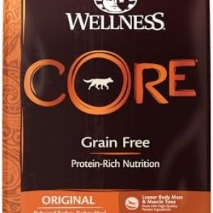 Wellness CORE Grain-Free High-Protein Dry Dog Food, Made in USA with Real Meat & Natural Ingredients, All Breeds, Adult Dogs (Turkey & Chicken, 26-lb) With Nutrients for Immune, Skin, & Coat Support